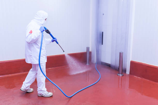 Trusted Mechanicsville, VA Pressure Washing Services Experts